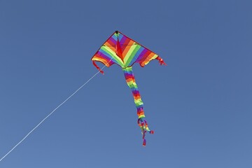 Kite in front of blue sky, Wustrow, Fischland, Mecklenburg-Western Pomerania, Germany, Europe