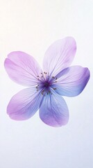 Fototapeta premium Serene Purple Flower Bloom: A Delicate Macro Photograph of Lavender Petals. Soft, Pastel Colors, Botanical Beauty, Nature's Elegance, Tranquil Garden.