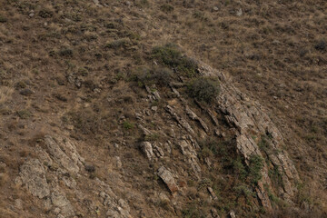 Rocky hillside with dry, brown vegetation.  Closeup of the rough texture of the terrain.  Sparse foliage clinging to the rocks.
