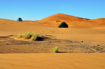 Sand dunes, Erg Chebbi, Morocco, Africa