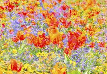 Flowers creative, artistic shot, tulips (Tulipa), yellow and red flowers alienated, plants, all over, mix of flowers, Germany, Europe