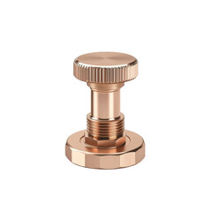 Copper screw on white isolated background