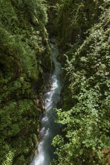 Marxenklamm in the enchanted forest, Ramsau, Berchtesgadener Land, Upper Bavaria, Germany, Europe