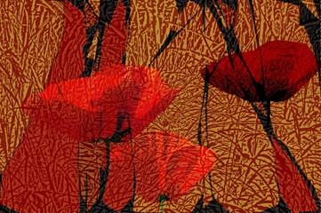 Poppies in the grass, alienated
