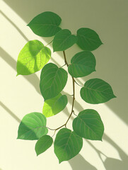 Background with plant