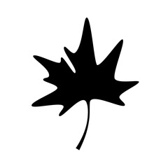 Simple maple leaf silhouette icon isolated on white background.