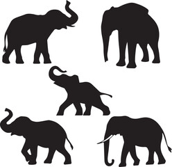 elephant silhouette set on transparent background