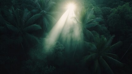 Aerial view of Amazon rainforest canopy in cinematic 4K