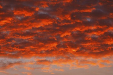Red cloudy sky at sunset, Schleswig-Holstein, Germany, Europe