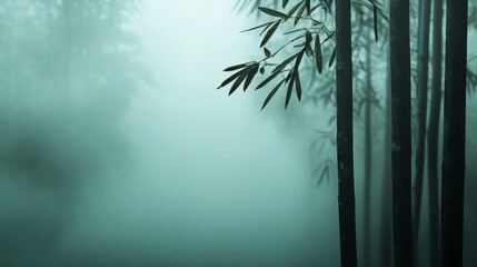 Obraz premium Tranquil rainforest dawn dew mist towering trees soft light