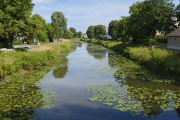 Water lily leaves on the river Else, Bünde, East Westphalia, North Rhine-Westphalia, Germany,...