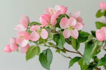Obraz premium A detailed view of a plant with bright pink flowers
