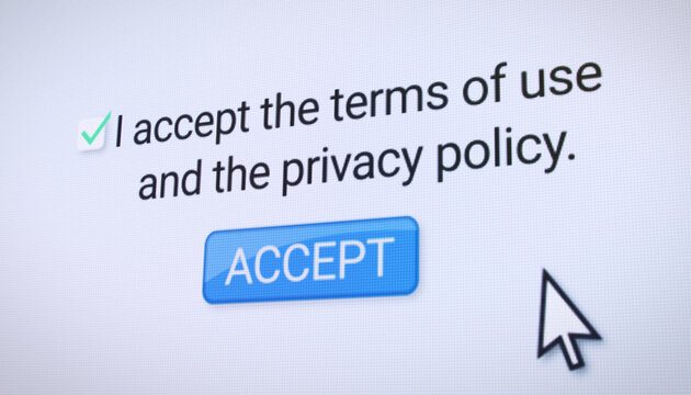 Illustration of a website with the terms of use and privacy policy and the button for accept and a checkbox for confirmation.