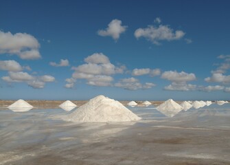Salt works at the salt marshes of Sabkhat Tazra in the Khenifiss National Park near the coast of the Atlantic Ocean east of Tarfaya, Southwest Morocco