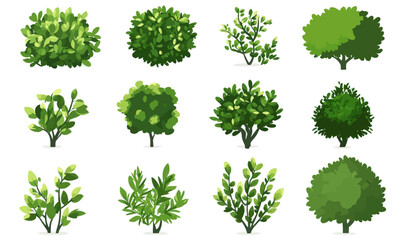 Vector Cartoon Shrub Bush Set for Garden Decoration and Landscape Design