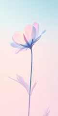 Naklejka premium Delicate Pastel Flower in Soft Light