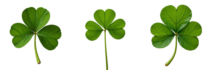 Three Heart-Shaped Shamrocks Arranged in Unique Positions