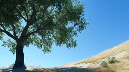 A tree is standing in a field with a clear blue sky above it. The scene is peaceful and serene, with the tree providing a sense of calm and tranquility