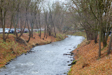 
a river flowing through a wooded landscape where trees with autumn leaves line the banks of the river.