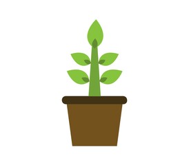 Plant icon illustrated on white background