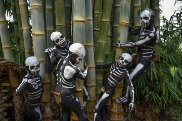 Natives with skeleton painting, Omo Bugamo tribe or skeleton people, Mount Hagen Festival in the village of Avi, Waghi Valley, near Mount Hagen, Western Highlands Province, Papua New Guinea, Oceania