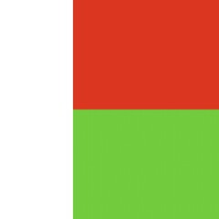 Official national flag of Madagascar