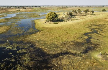 The Gomoti River with its adjoining freshwater marshland, with scattered Red Lechwe (Kobus leche leche), aerial view, Okavango Delta, Botswana, Africa