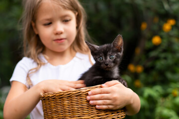A cheerful little child girl with a kitten sitting in a basket outdoors in nature