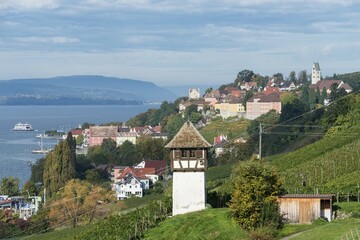 Obraz premium Historic Rebgut Haltnau vineyard on Lake Constance, with the town of Meersburg am Bodensee on the right, Langenargen, Baden-Württemberg, Germany, Europe
