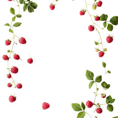 Obraz premium Fresh Raspberry Frame with Green Leaves