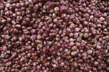 Red onions, shallots, at a market, Cambodia, Asia