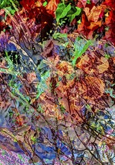 Creative shot, abstract, leaves, plants, creative, colourful, colourful, all over, background, pattern, pattern, art, wrapping paper, design, artistic, Germany, Europe