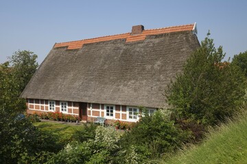 Thatched cottage, half-timbered house, Steinkirchen, Altes Land, Lower Saxony, Germany, Europe