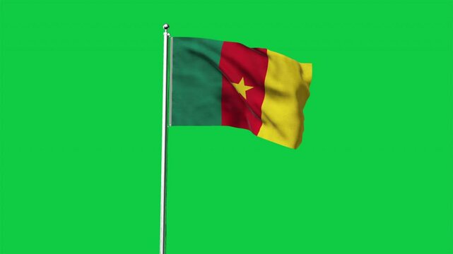 High detailed flag of Cameroon. National Cameroon flag. Africa. 3D Render.