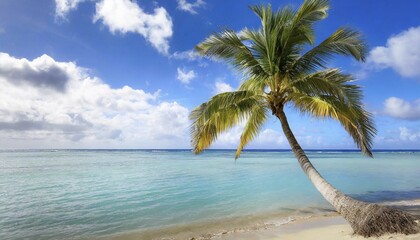 KI generated, A beach with beautiful palm trees in the Caribbean, Samana Peninsula, Dominican Republic, AI generated, Central America