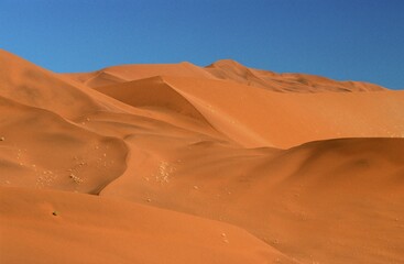 Sand Dune, Sossusvlei, Namib Naukluft Park, Namibia, Africa