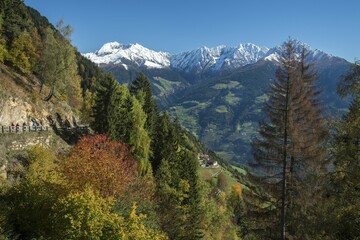 Autumn scenery in the mountains of South Tyrol, Trentino Province, South Tyrol, Italy, Europe