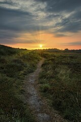Sunrise with sunbeams over heathland, hiking trail, near Henne Strand, Syddanmark, Denmark, Europe