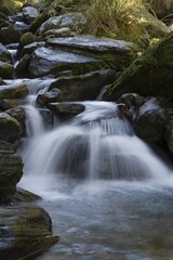 Fototapeta premium Stoney mountain stream by the Copland Track, West Coast, South Island, New Zealand, Oceania