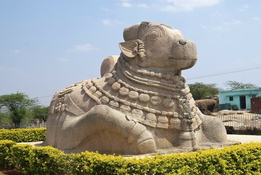 Monolithic Nandi, Lepakshi, Andhra Pradesh, India, Asia