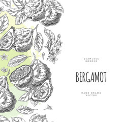 Bergamot fruits, flowers and leaves engraved sketch seamless border vector design, hand drawn fresh Kaffir lime citrus