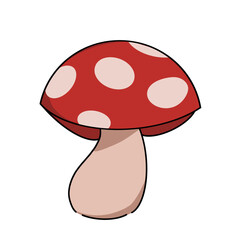 illustration of mushroom
