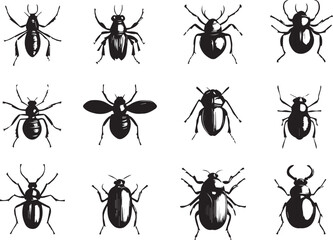 A set of insects silhouettes for flat design. Hand drawn vector illustration
