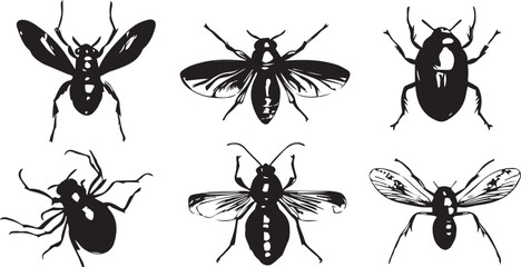 A set of insects silhouettes for flat design. Hand drawn vector illustration