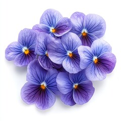 Bouquet of Violets