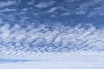 Large altocumulus clouds, Germany, Europe