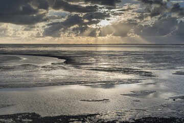 Wadden Sea National Park, UNESCO World Heritage Site, view of the Hamburger Hallig, evening mood, Reußenköge, Schleswig-Holstein, Germany, Europe