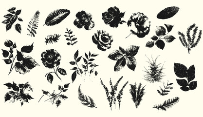 A collection of vector stamp effect floral elements including leaves, roses and various plants