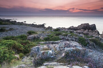Evening mood, Hovs Hallar coastline, nature reserve, Bjärehalvön Peninsula, Båstad, Scania,...