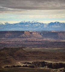 View from Grand View Point to La Sal Mountains, La Sal Range, Island in the Sky, Canyonlands National Park, Moab, Utah, USA, North America